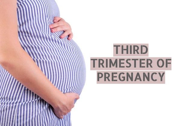 Third Trimester Of Pregnancy