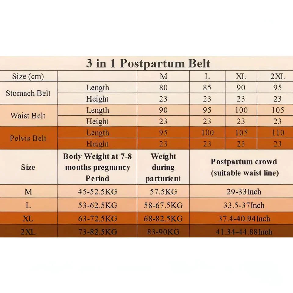 AZAH Postpartum Belt | 3-in-1 Shaping & Support Pregnancy Belts | Post  Pregnancy Abdominal Recovery | Waist Trimmer | Tummy Shapewear | Slimming  Body